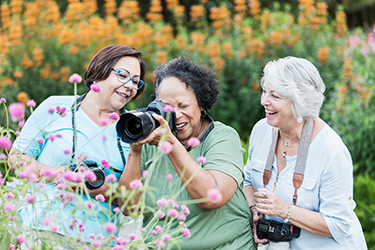 Three women photographing flowers