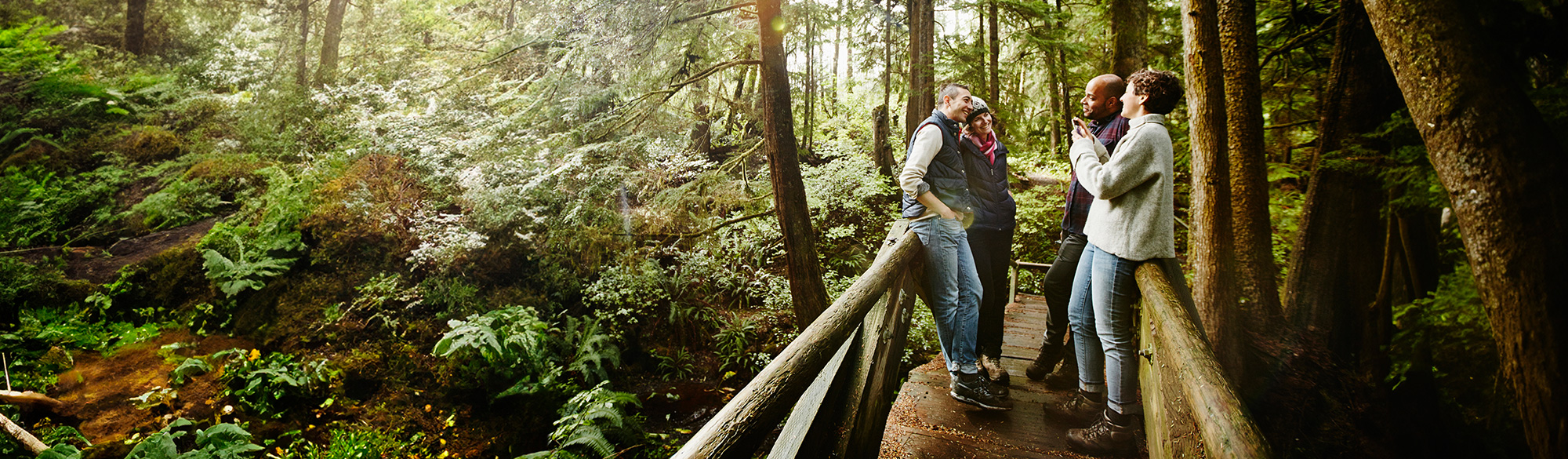 Two couples stopped at a bridge in the forest talking